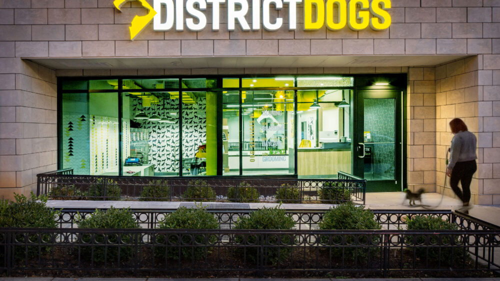 Distric Dogs-2793Rt